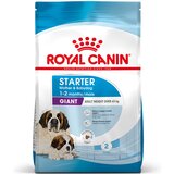 Royal Canin Giant Starter Mother & Babydog - 15 kg Cene