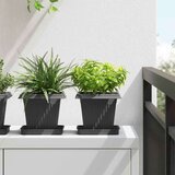  Kvadratna cvetlična posoda 24 pcs Črna 16 x 16 x 14 cm Plastika, (5000207503) | Shoptok.si