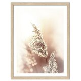 ProArt Slika Slim Scandic (Dried Fiber, Š x V: 33 x 43 cm) | Shoptok.si