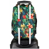 Peterson PTNPLEC0352861 Zelena | shoptok.hr