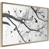  Poster - Twitter II 60x40 Cijene