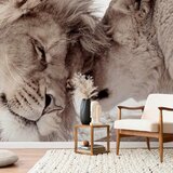 Artgeist Fototapeta Lion Tenderness, 400x280cm | Shoptok.si