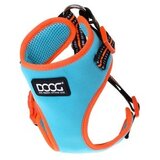 DOOG Am Beethoven XL plav neon Cene