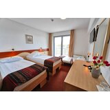  Bled, 3 noćenja za 2 osobe s doručkom i 1x večerom - Hotel Krek | shoptok.hr