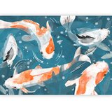  Foto tapeta - Koi Fishes - Second Variant 150x105 Standard | shoptok.hr