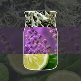 Yankee Candle Midsummer's Night Midsummer’s Night mirisna svijeća Signature 110 g | shoptok.hr