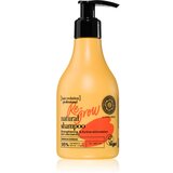 Natura Siberica Hair Evolution Re-Grow šampon za okrepitev las za oslabljene lase, ki so nagnjeni k izpadanju 245 ml | Shoptok.si