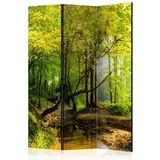 Paravan - Forest Clearing 135x172 Akustični