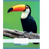 NEBULO Zvezek s karo vzorcem in motivom tukana 87-32 A/4 | Shoptok.si