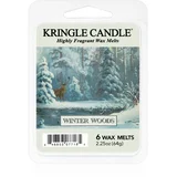 Winter Woods vosak za aroma lampu 64 g
