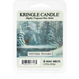 Winter Woods vosek za aroma lučko 64 g