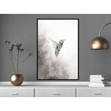  Poster - Hummingbird in Shades of Grey 20x30 | shoptok.hr