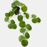 Sinsay Ukrasna umjetna biljka | shoptok.hr