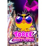 Steam Toree Saturn Key (PC) GLOBAL | Eponuda.com