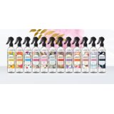 Areon SPREJ ZA Kuću 300 ML Slike