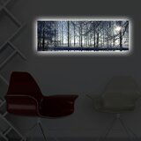 Opviq slika na platnu sa LED osvetljenjem 30x90cm | ePonuda.com