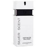 Jacques Bogart Silver Scent Infinite Silver 100 ml toaletna voda za moške | Shoptok.si