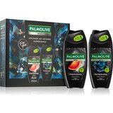 Palmolive Men DUO set (za moške) Cene