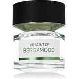 BMW The Scent of Bergamood parfumska voda 100 ml Tester unisex Cene
