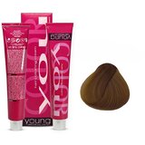 YOUNG Farba za kosu No 7.33, Intense Golden Blond, 100ml Cene