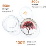 Miraculum Asta Plankton revitalizacijski serum 30 ml | Shoptok.si