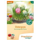  Jari ječmen Pirona "Velikonočna trava" | Shoptok.si