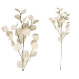  EUKALIPTUS 2004 PVC Cijene