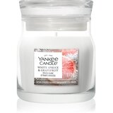 Yankee Candle White Spruce & Grapefruit dišeča sveča Signature 110 g Cene