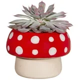 Lonec iz kamenine ø 12 cm - Sass & Belle
