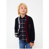LC Waikiki Boy's V-Neck Embroidered Long Sleeve Knitwear Cardigan | Shoptok.si