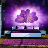  Tapeta - Breath of spring 300x210 Cijene