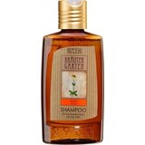 STYX Šampon za suhe lase zeliščni vrt Cene