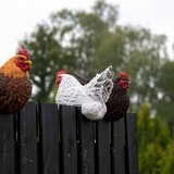Esschert Design Vrtne figurice v kompletu 3 ks iz poliresina Hen – | Shoptok.si