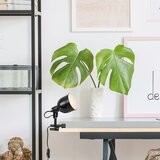 Rabalux Stolne svjetiljke - Flint | shoptok.hr
