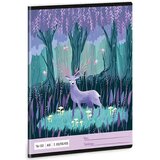 Ars Una Črtasti zvezek za 2. razred A5 16-32 : Mindnight Wish | Shoptok.si