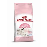 Royal Canin hrana za mačiće baby cat 34 2kg Cene