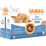  36 + 12 gratis! 48 x 85 g IAMS mokra mačja hrana - Delights Adult Sea Mix - v omaki | shoptok.hr
