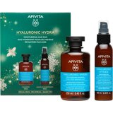 Apivita Hyaluronic Hydra Moisturizing Hair Duo božični darilni set za intenzivno vlažnost Cene