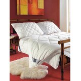 Billerbeck VZGLAVNIK Alcando 60/80 cm | Shoptok.si
