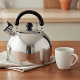 Eva čajnik s piščalko, inox, srebrna, 4 l | Shoptok.si