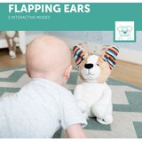 Zazu plišana glazbena igračka peek-a-boo danny the dog | shoptok.hr