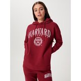 Sinsay Gornji dio trenirke s kapuljačom i vezom Harvard | shoptok.hr