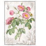 Puzzle 1000 KOM TUBA BOTANIC ROSE INTERDRUK | Shoptok.si