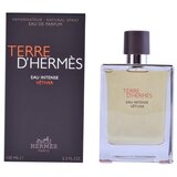 Hermes TERRE D'HERMÈS EAU INTENSE VÉTIVER EDP Sprej 100 ml | shoptok.hr