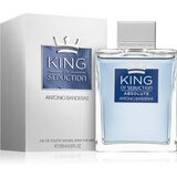 Antonio Banderas king of Seduction toaletna voda 200 ml za muškarce | shoptok.hr