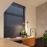 Sollux Stenska svetilka NOX zlata, (5000352084) | Shoptok.si