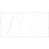  Marble White 25x50 (5314) Cene