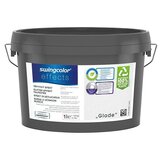 SWINGCOLOR Boja s efektom Glitter (Glade, 1 l) | shoptok.hr