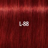 Schwarzkopf Professional IGORA Royal Fashion Lights posvetlitvena krema za lase odtenek L-88 60 ml | Shoptok.si