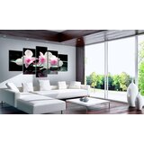  Slika - Rest of orchids 200x100 | shoptok.hr
